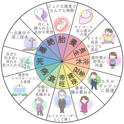 十 二 運|四柱推命の【十二運星】とは？意味・調べ方・エネルギーを解説